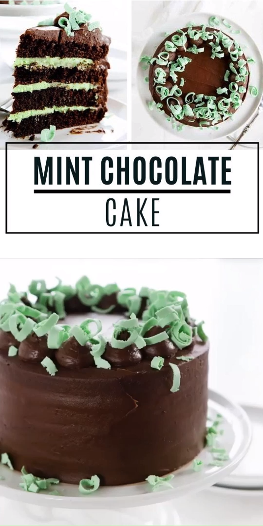 Mint Chocolate Cake -   18 desserts Christmas cake ideas
