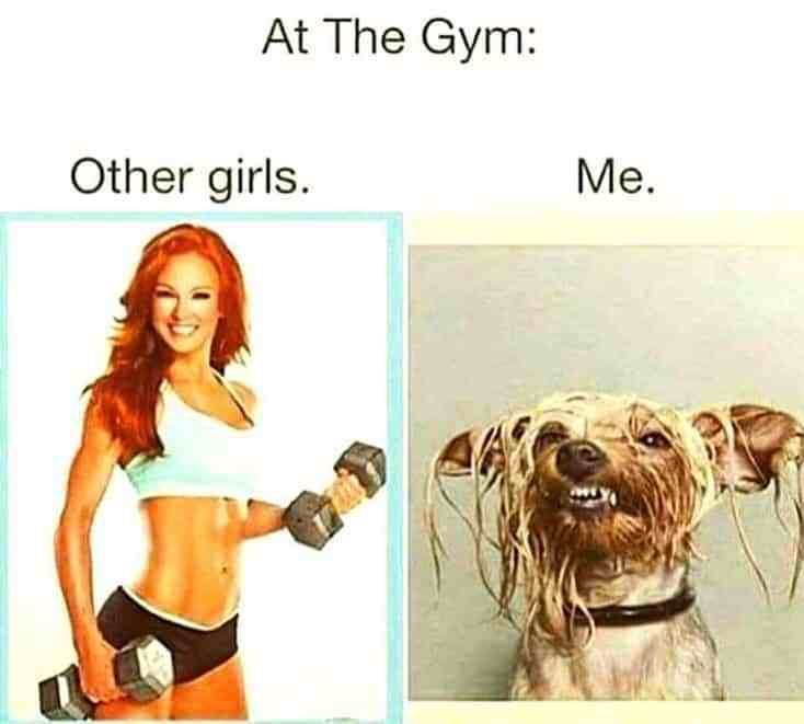 Gym Quotes Other Girls -   20 fitness Memes thoughts ideas