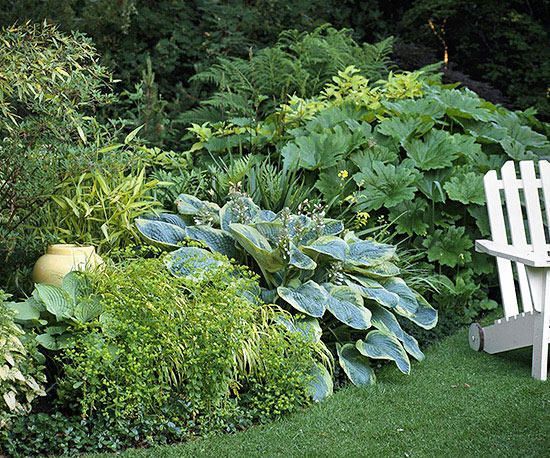 How to Get Beautiful Texture in Your Garden -   10 plants Texture plan ideas