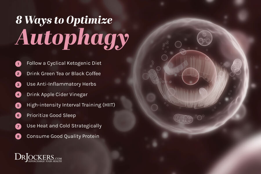 Autophagy: What is It and 8 Ways to Enhance It - DrJockers.com -   12 diet Before And After my life ideas