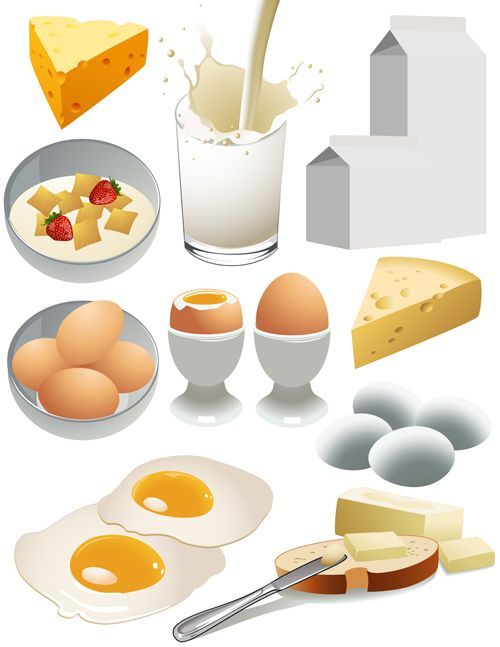 Cheese and dairy products vector material 01 -   12 diet Illustration products ideas