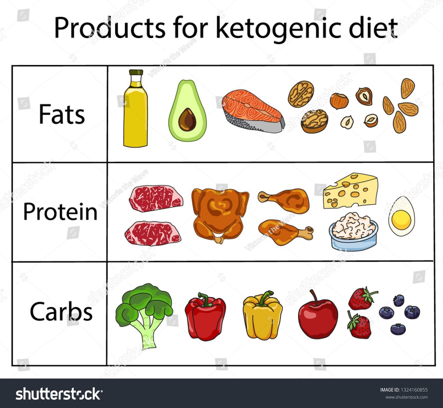Ketogenic Diet Vector Sketch Banner Illustration Stock Vector (Royalty Free) 1324160855 -   12 diet Illustration products ideas