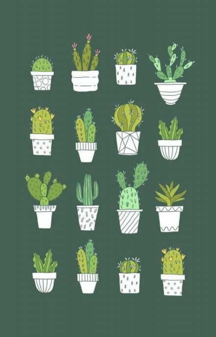 49 Ideas Plants Illustration Pattern Succulents -   13 planting Illustration succulents ideas