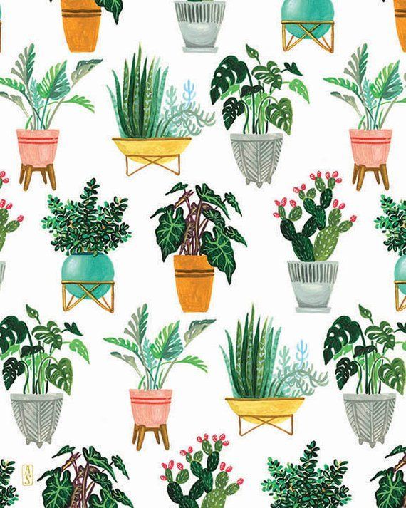 Plant Pattern Print, Plant Illustration, Plant Art, Cactus, Succulent, Monstera Plant -   13 planting Illustration succulents ideas