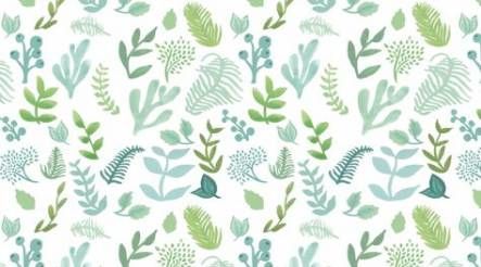 13 plants Wallpaper ideas