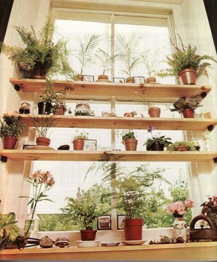 51  Ideas For Living Room Shelves Decorating Plants -   14 planting Apartment shelves ideas
