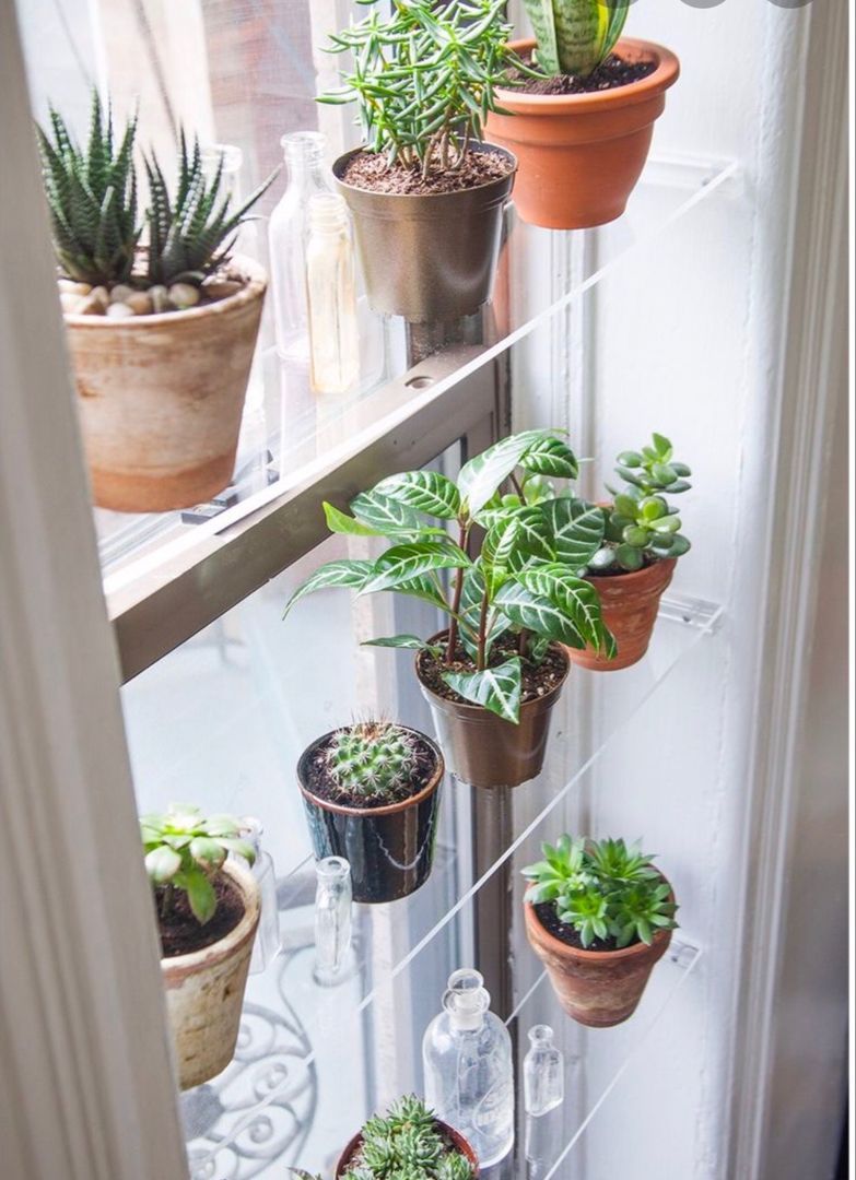 Tip of the Day Wednesday:Window Green House -   14 planting Apartment shelves ideas