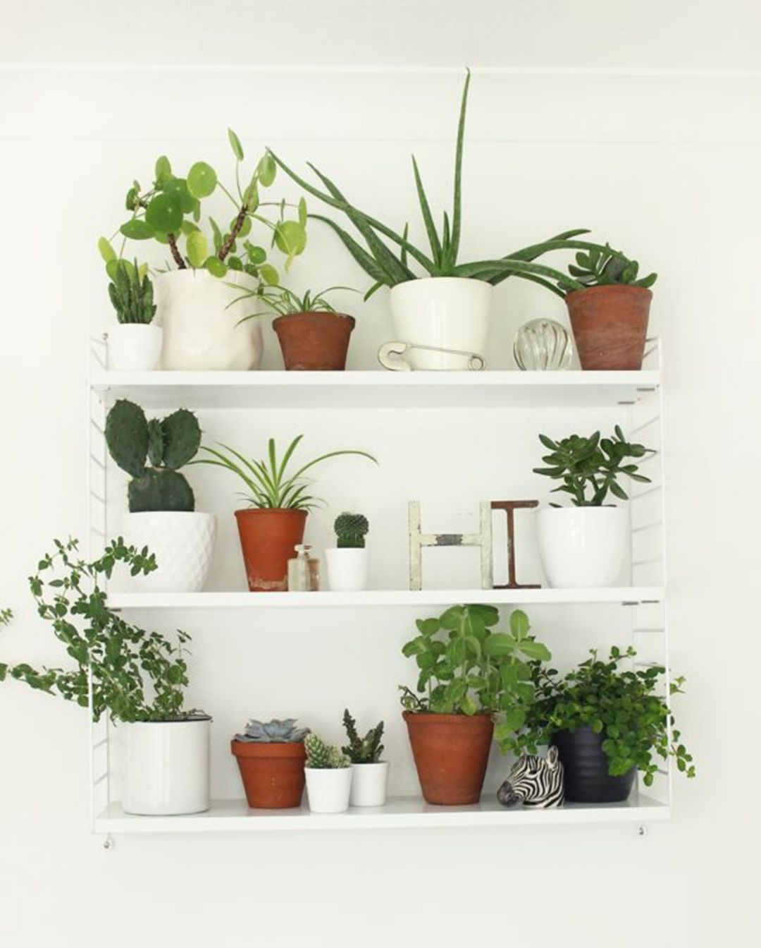 Decorating Plant Shelves -   14 planting Apartment shelves ideas
