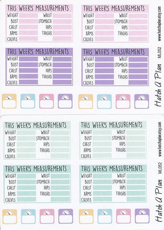 Weight Planner Stickers | Body Measurement Stickers | Two Sheets | Scale Stickers | Fits Erin Condre -   16 fitness Planner diy ideas