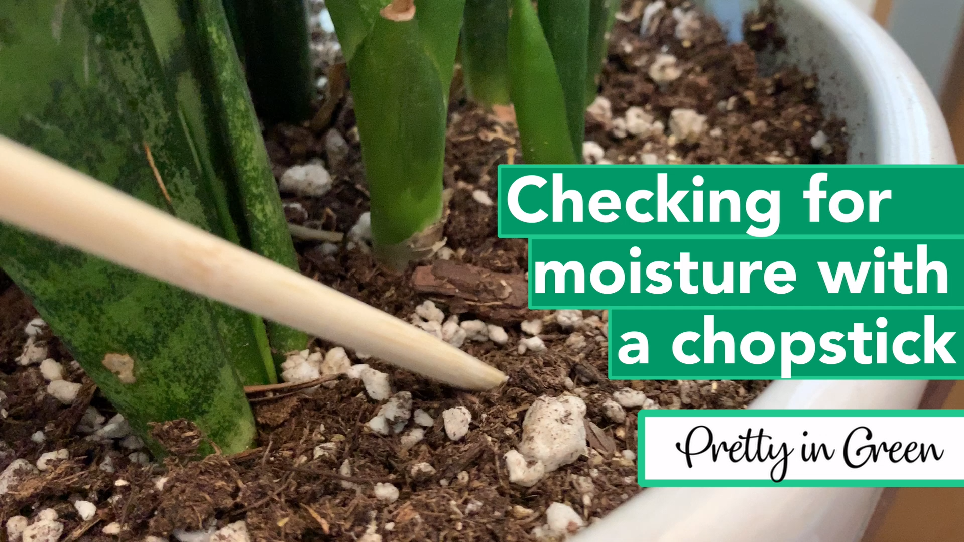 Checking Moisture with Chopsticks -   16 planting Indoor flowers ideas