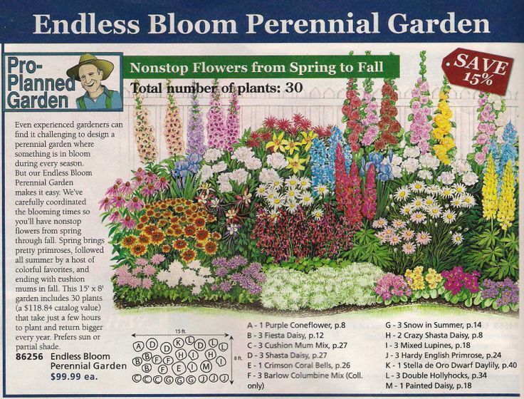 Perennial Garden - Brilliant Ideas For Gardener - DIY Gardening Ideas -   16 planting summer ideas