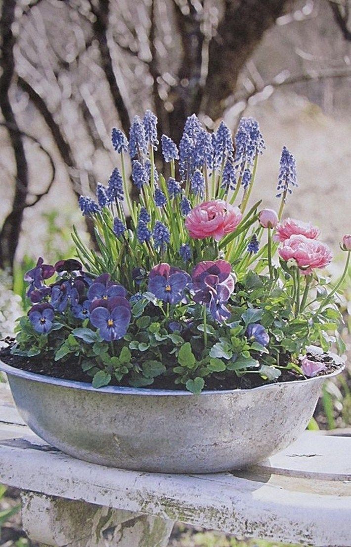 38 Cheap And Easy Landscaping Ideas For Front Yard ~ aacmm.com -   16 plants for planters ideas