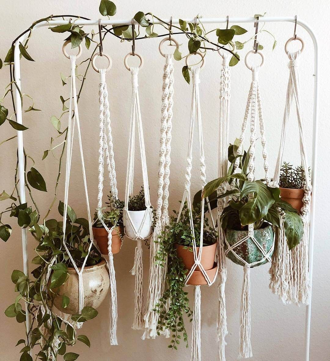 17 Charming DIY Indoor Hanging Planters to Display Your Greenery -   16 plants for planters ideas