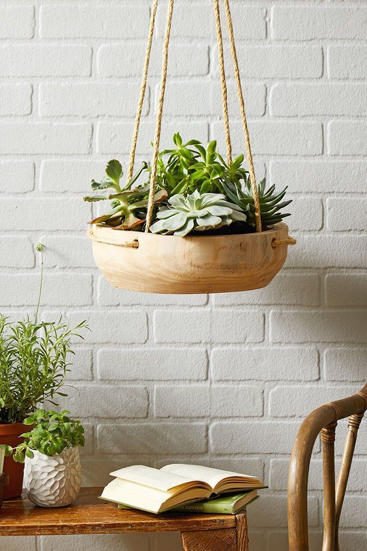 23 Creative DIY Indoor Hanging Plant Holders -   16 plants for planters ideas