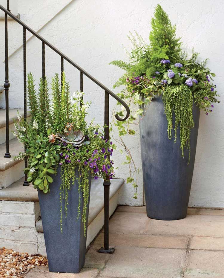 67 Best Front Door Flower Pots + Pretty Porch Planters (2020 Guide) -   16 plants for planters ideas