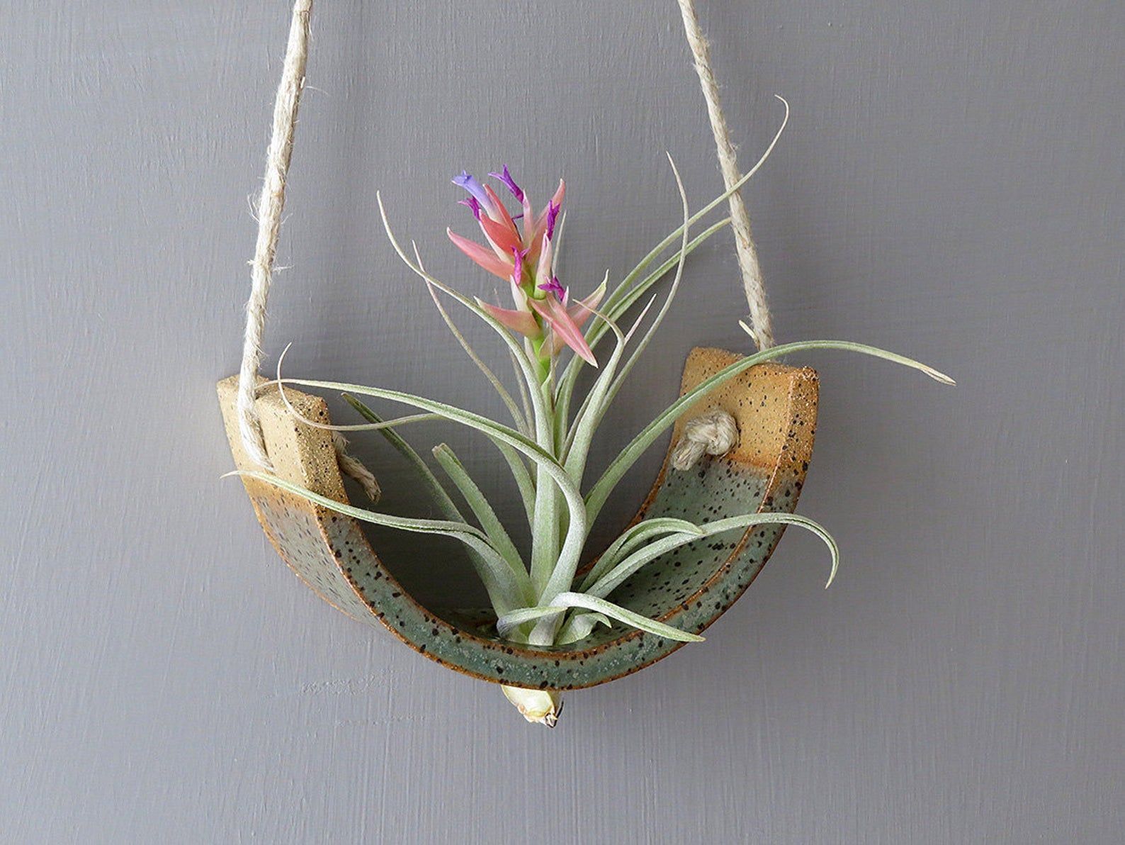 Small Hanging Air Plant Cradle - Gunmetal Green Planter Vase -   17 planting Green planters ideas