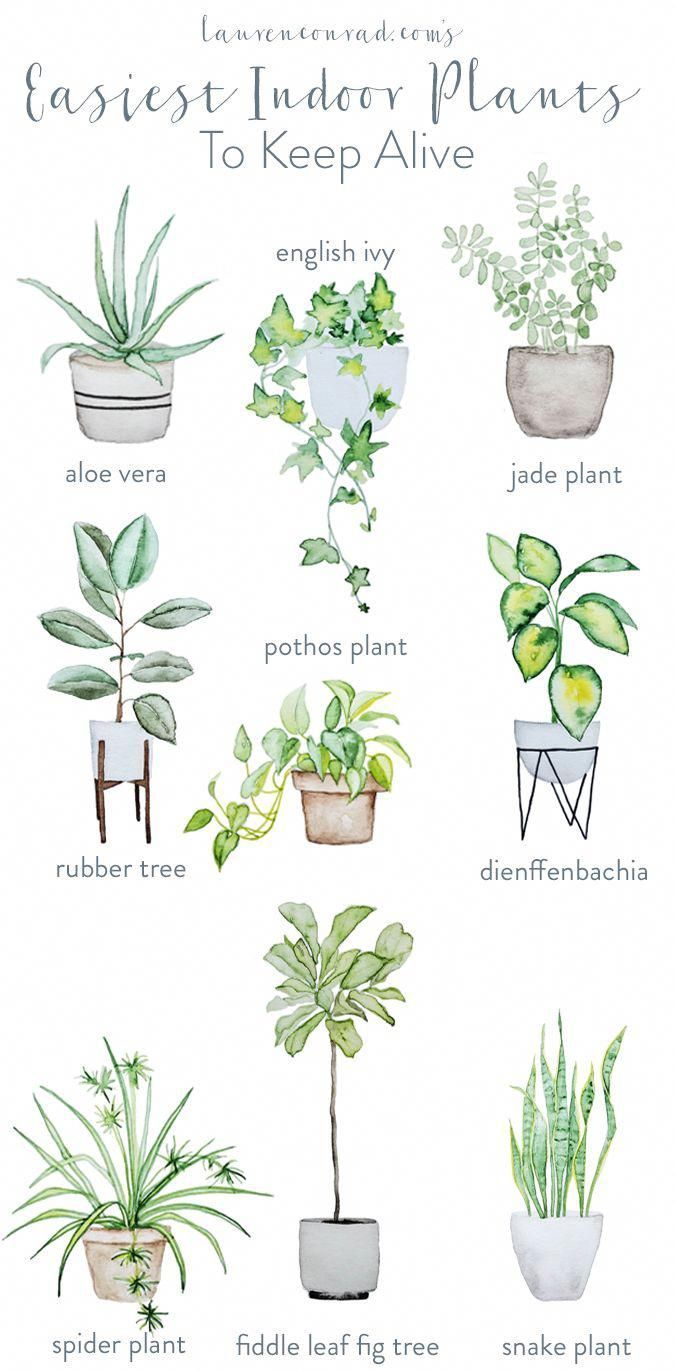 17 planting Green planters ideas