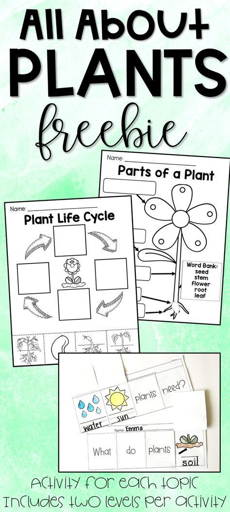 All About Plants Freebie - Parts of a Plant, Plant Life Cycle, What Plants Need -   17 planting Teaching free printable ideas