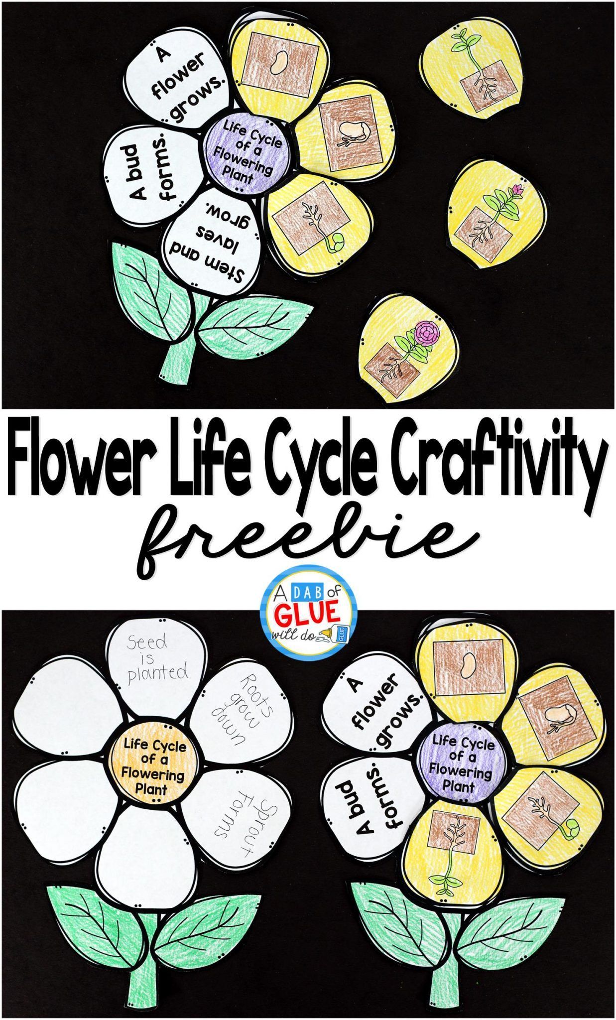 Flowering Plant Life Cycle Craftivity -   17 planting Teaching free printable ideas