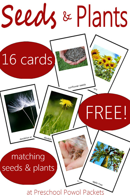Seed & Plant Matching Game & {FREE} Printable -   17 planting Teaching free printable ideas