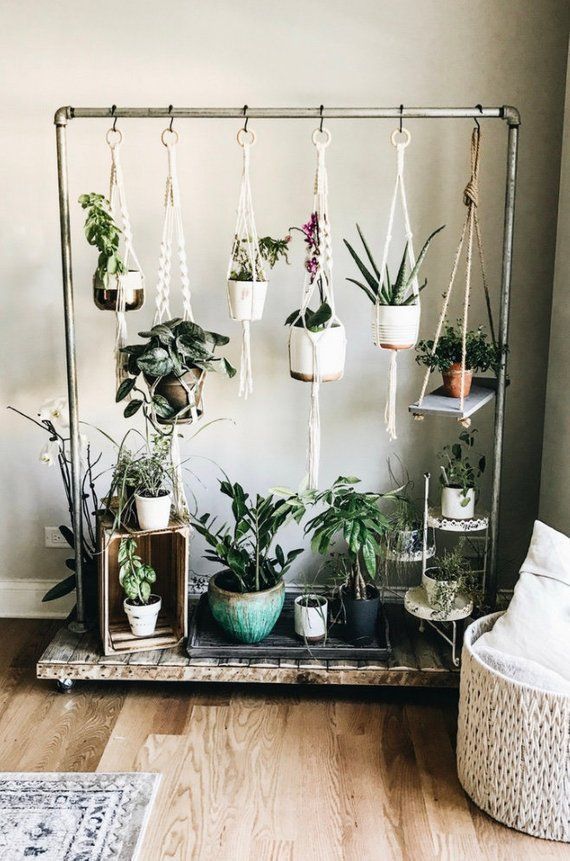 18 boho plants House ideas