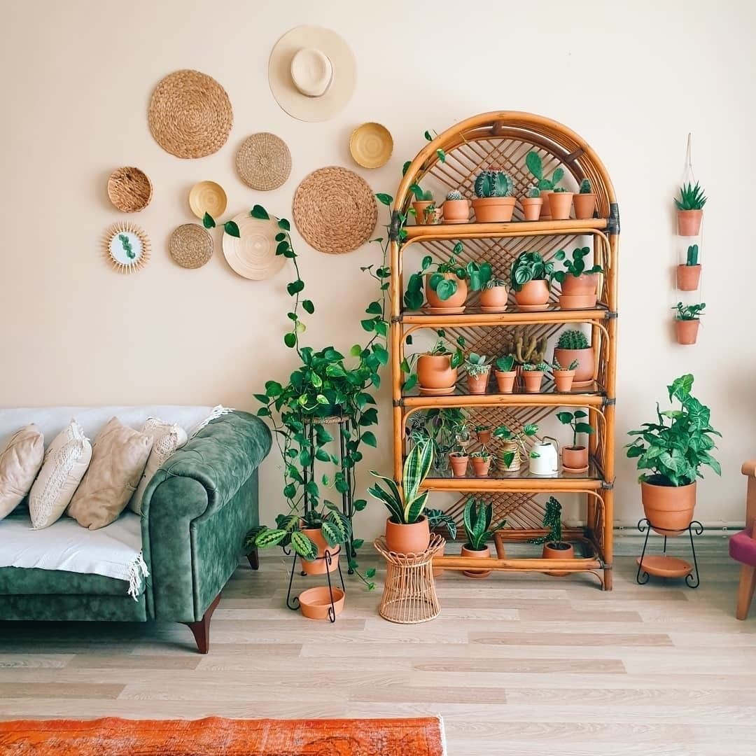 18 boho plants House ideas