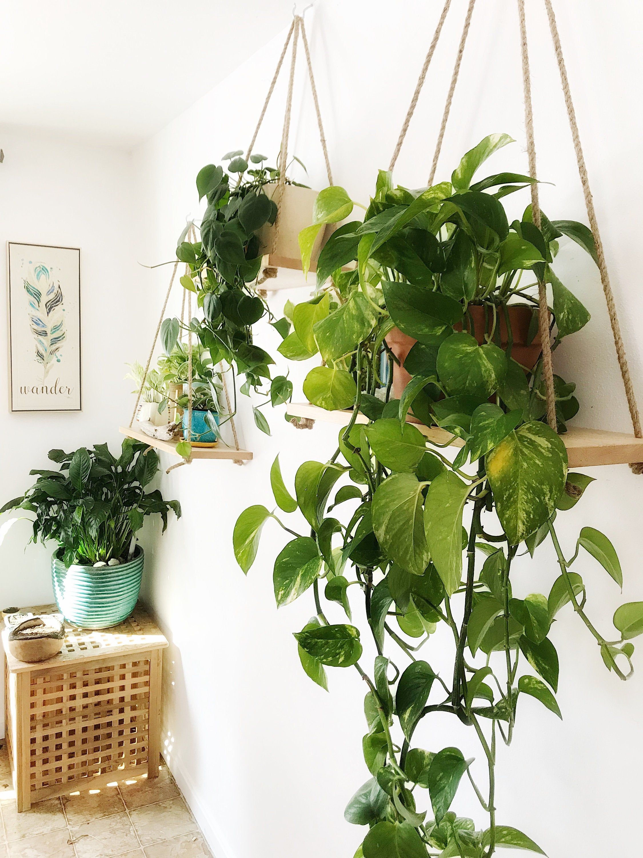 Hanging Maple Plant Shelf, Hanging Plant Shelf, Wall shelf -   18 boho plants House ideas