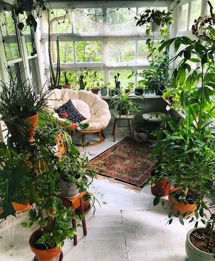 18 boho plants House ideas