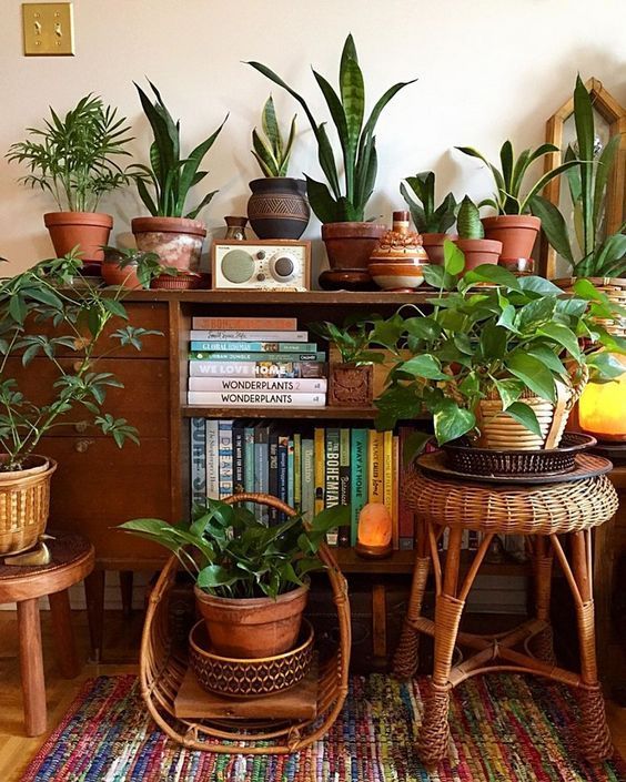 18 boho plants House ideas