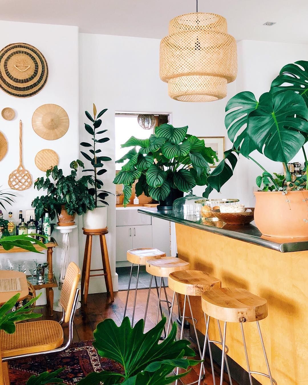 Regardless of Your Design Style, There's a Kitchen Island Style for You | Hunker -   18 boho plants House ideas