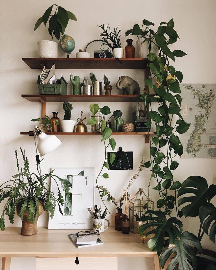 How To Take Insta-Worthy Photos Of Your House Plants -   18 boho plants House ideas