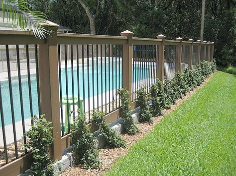 16 Pool Fence Ideas for Your Backyard (AWESOME GALLERY) -   11 garden design Pool fence ideas