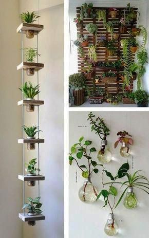175+ indoor garden apartment by REXGARDEN -   11 home accessories plants ideas