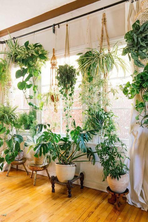 Houseplants: Bringing Your Home Decor to Life -   11 home accessories plants ideas