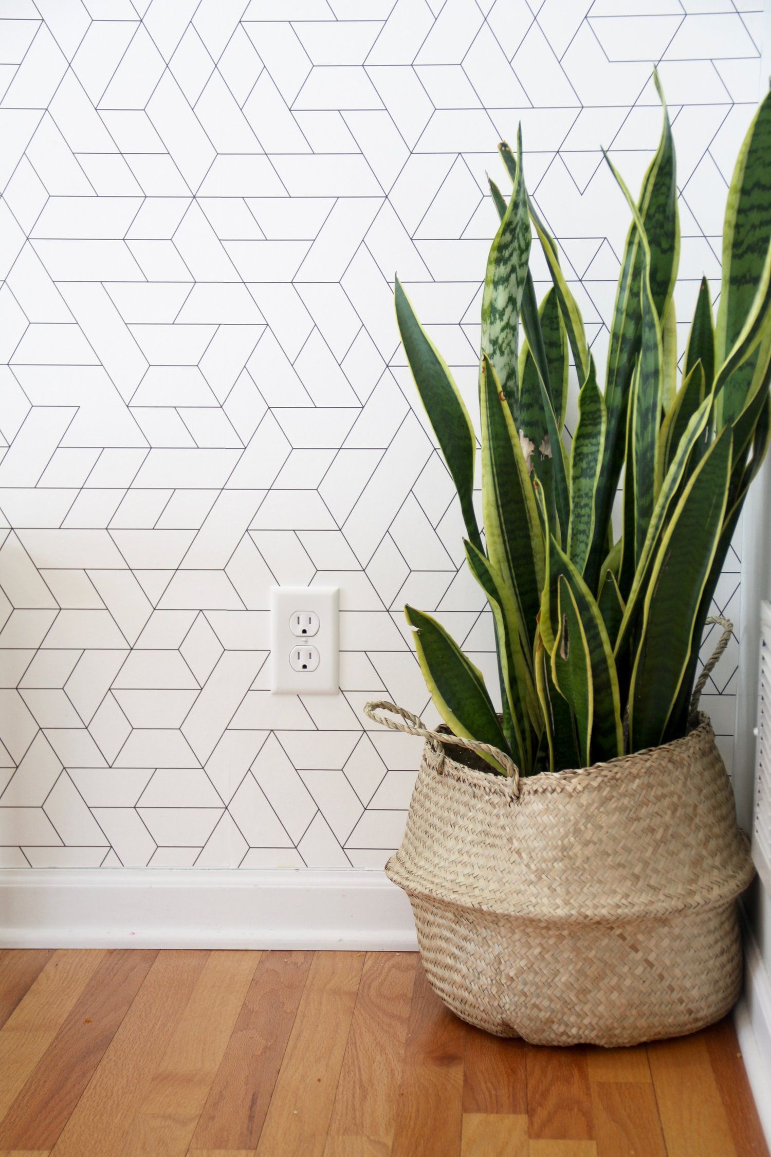 Dining Room Refresh | Modern Chemistry at Home -   12 planting Room wallpaper ideas