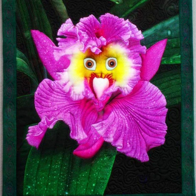 100 Pcs/Pack Monkey Face Orchid Seeds Home Garden Bonsai Plants Flowers - -   13 plants Flowers articles ideas