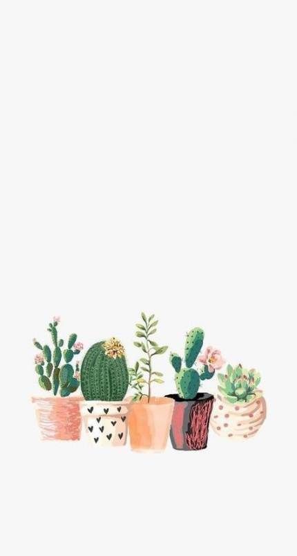 60 Super Ideas plants wallpaper cactus -   13 plants Wallpaper phone ideas