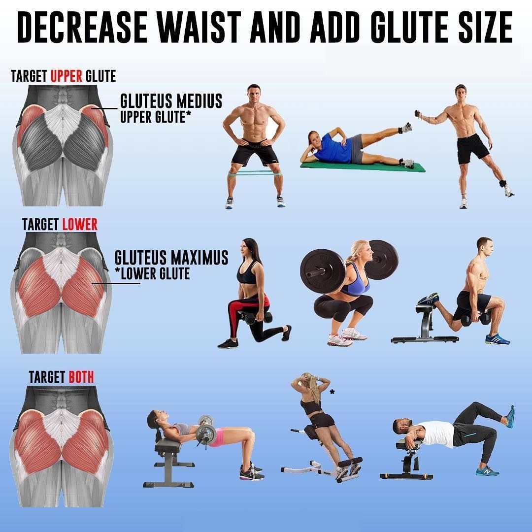 Increase Glute Size! -   14 fitness Gym glutes ideas