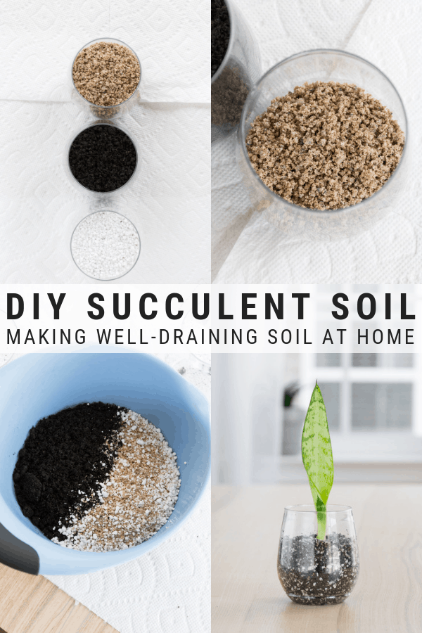 How to Make Succulent Soil at Home: DIY Well-Draining Plant Soil -   14 planting DIY backyards ideas