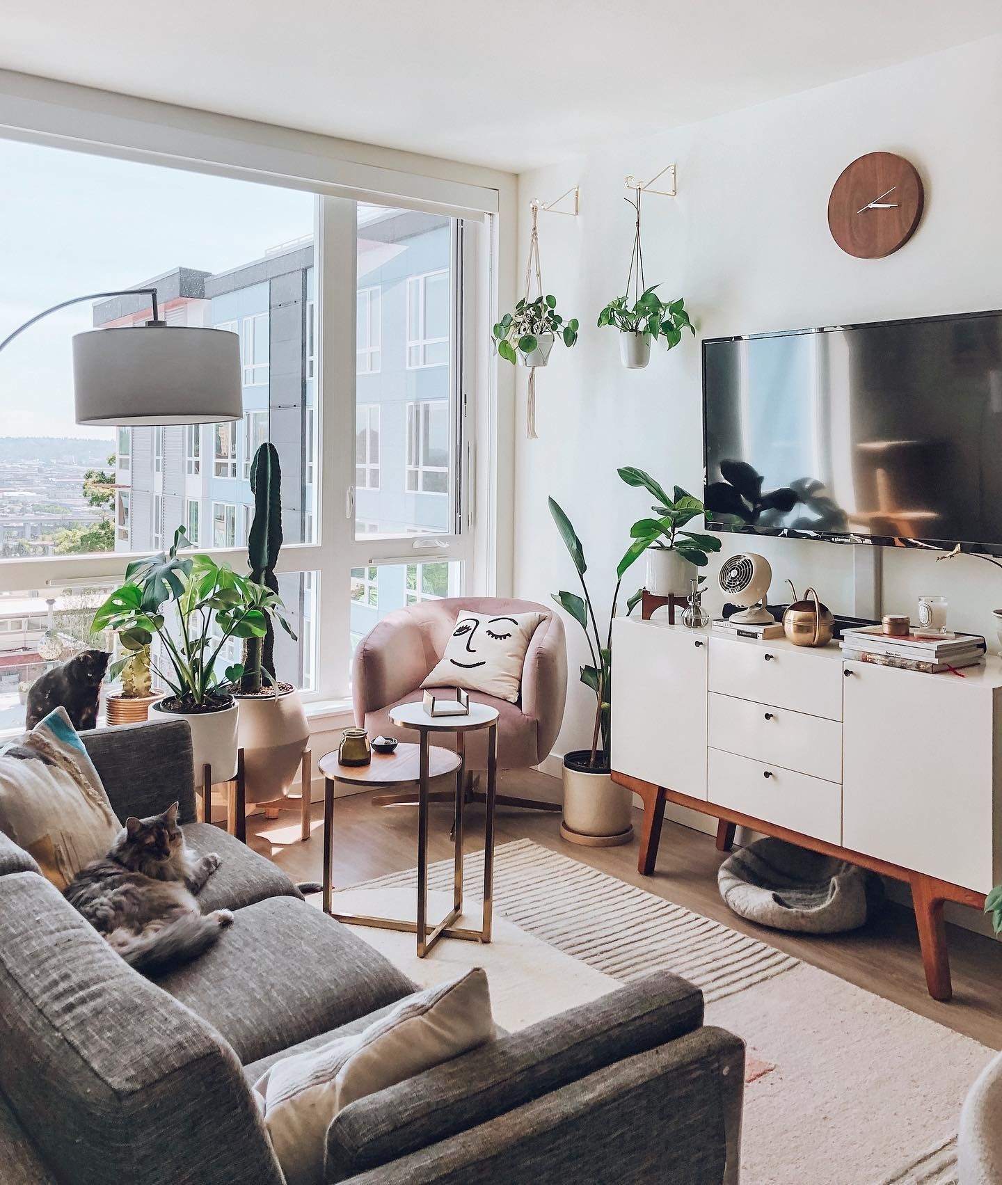 Ceni Volcanic Gray Sofa -   15 hanging plants In Living Room ideas