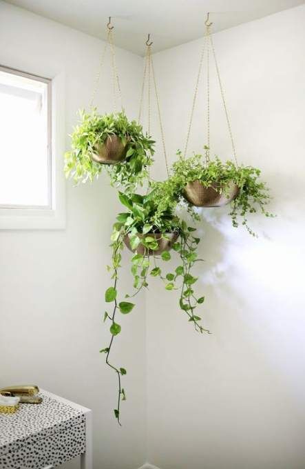 46 Ideas Plants Hanging From Ceiling Living Rooms -   15 hanging plants In Living Room ideas
