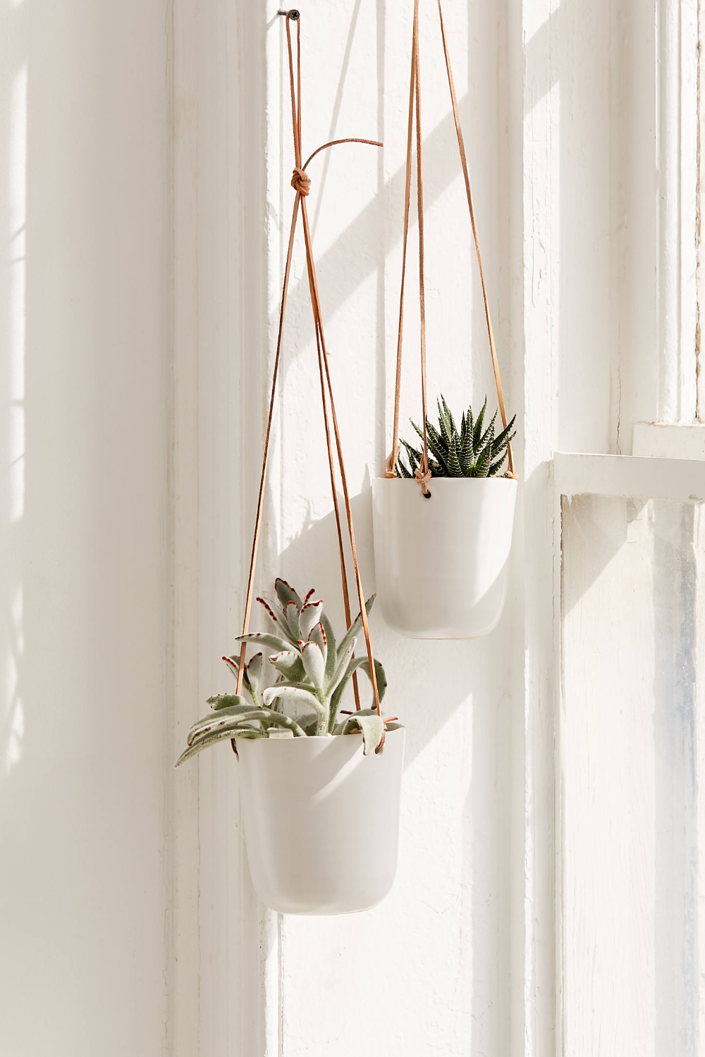 Loren Leather Ceramic Hanging Planter -   15 hanging plants In Living Room ideas