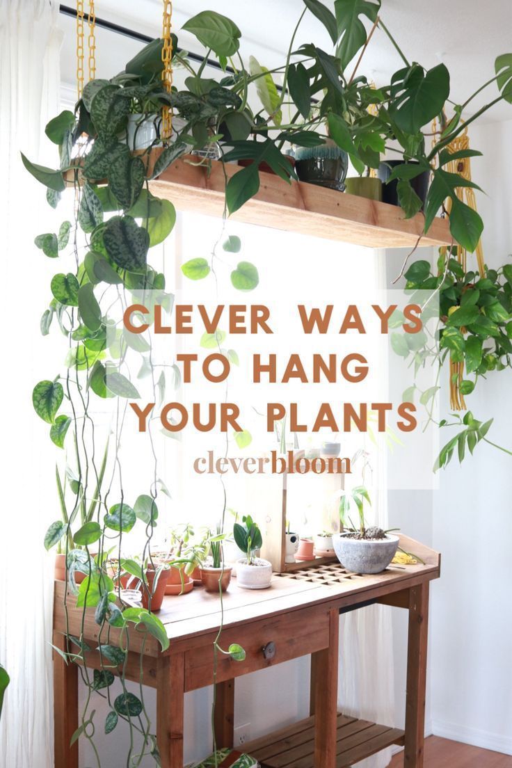 Clever Ways To Hang Your Plants - Clever Bloom -   15 hanging plants In Living Room ideas