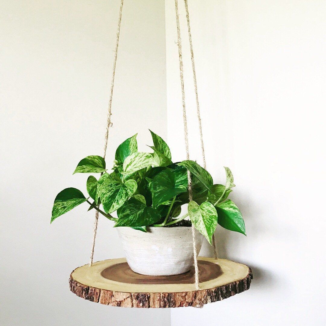Wood slab slice floating hanging planter shelf table -   15 hanging plants In Living Room ideas