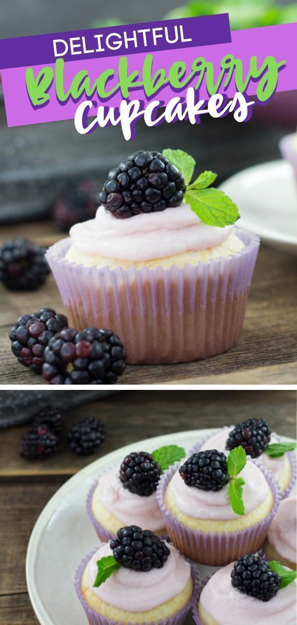 Blackberry Delight Cupcakes -   16 fruity desserts Recipes ideas