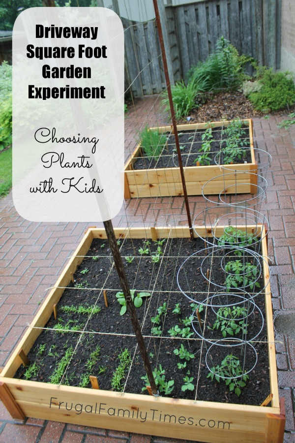 Choosing Vegetable Plants with Kids (Our Square Foot Garden in theDriveway - Year 2!) -   18 planting Garden food ideas