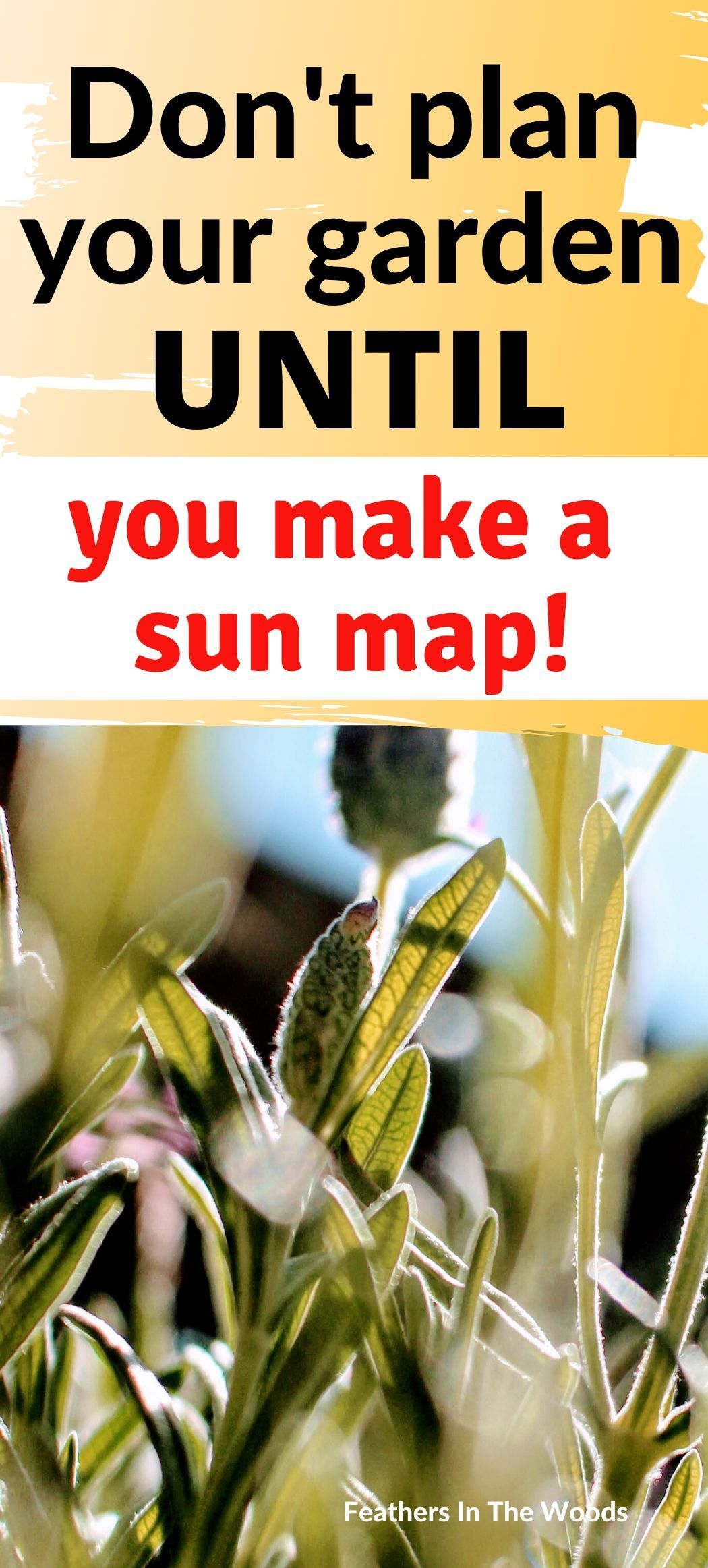 Why your garden needs a sun map! -   18 planting Garden food ideas