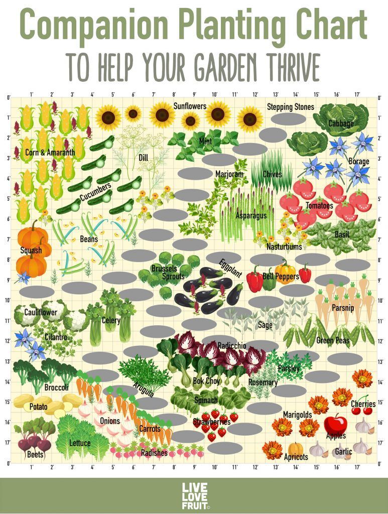 18 planting Garden food ideas