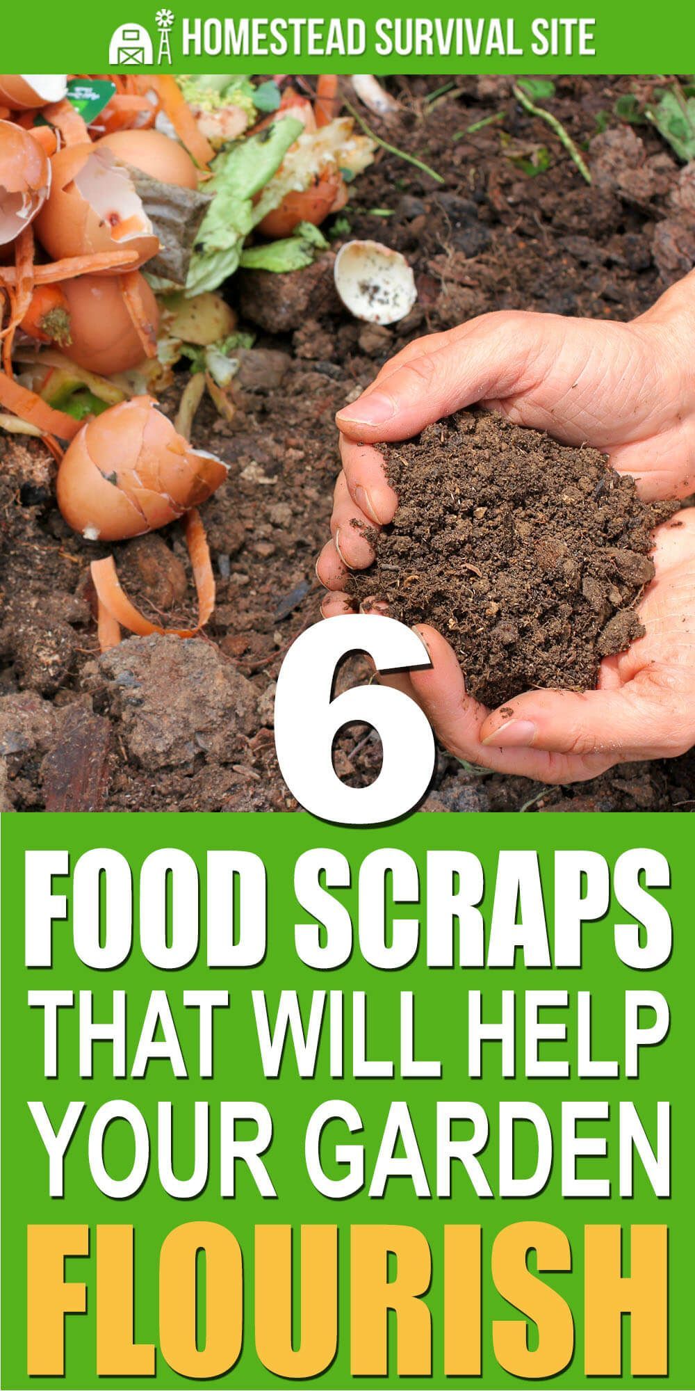 6 Food Scraps That Will Help Your Garden Flourish -   18 planting Garden food ideas