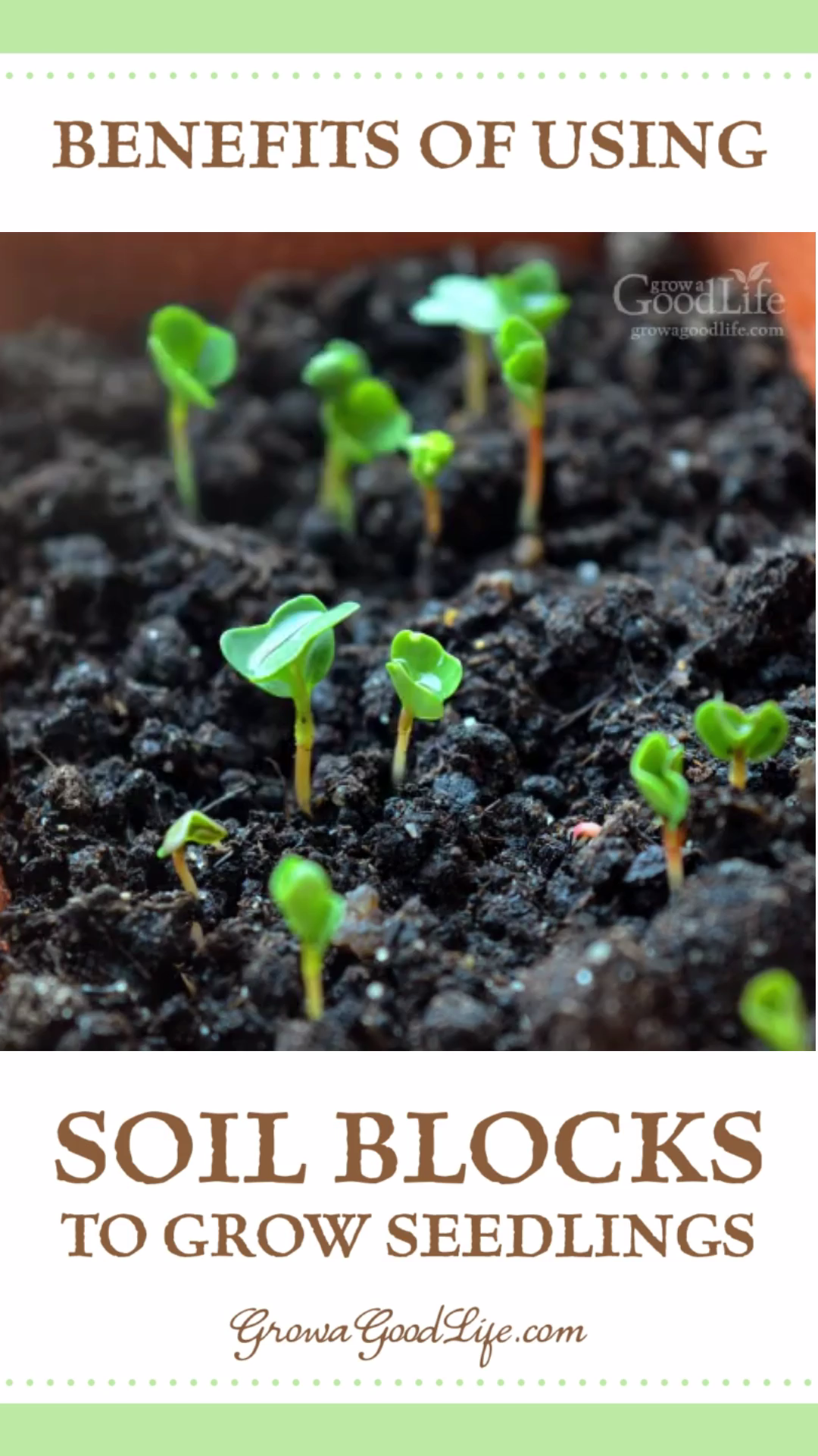 Benefits of Using Soil Blocks to Grow Seedlings -   18 planting Garden food ideas